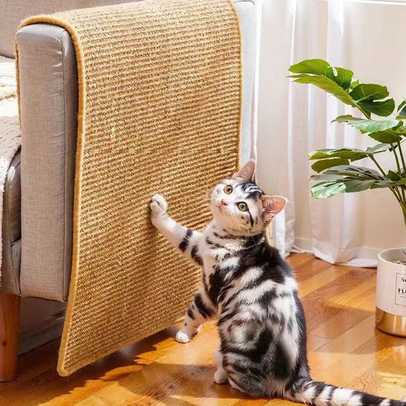 Cat Scratching posts