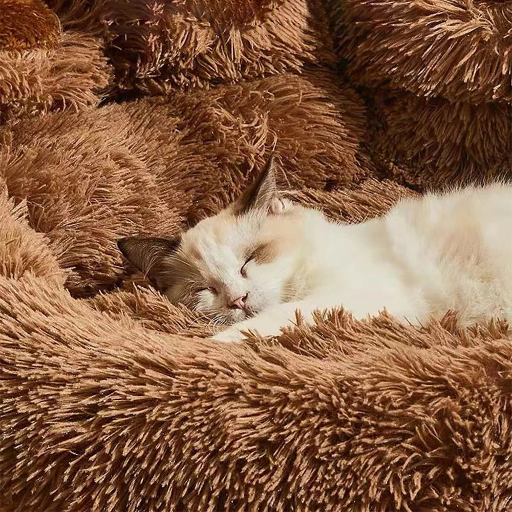Premium Plush Dog Sofa Bed for Small to Medium Pets - Cozy Winter Kennel Mat for Dogs and Cats