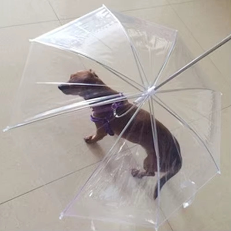Dog Walking Waterproof Clear Cover with Built-In Leash for Rain, Sleet, and Snow - Pet Umbrella