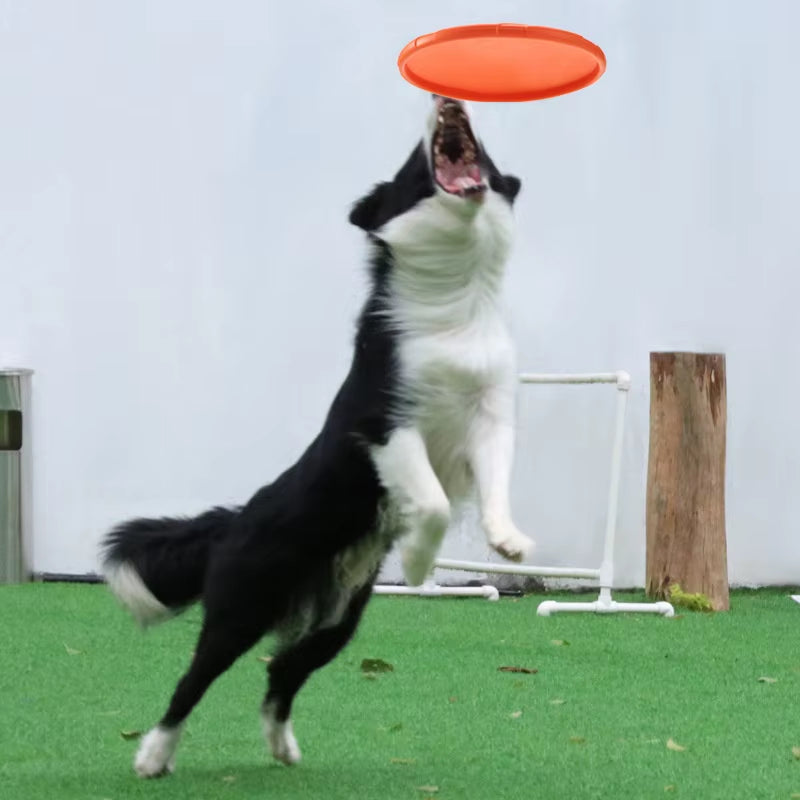 Silicone Interactive Flying Disc Toy for Dogs and Cats - Durable Chew-Resistant Training Aid