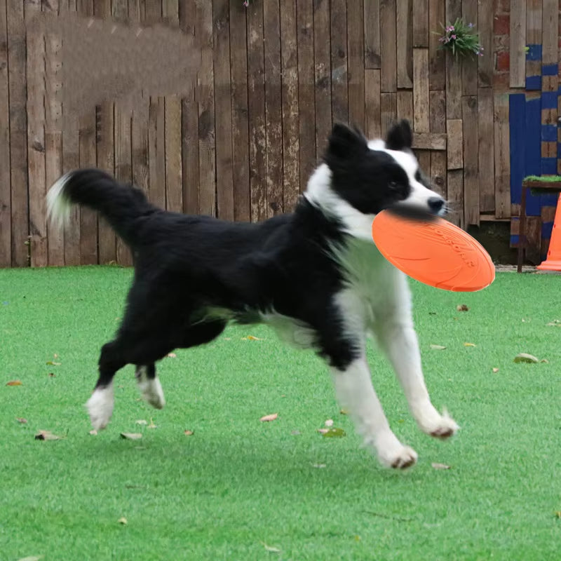 Silicone Interactive Flying Disc Toy for Dogs and Cats - Durable Chew-Resistant Training Aid