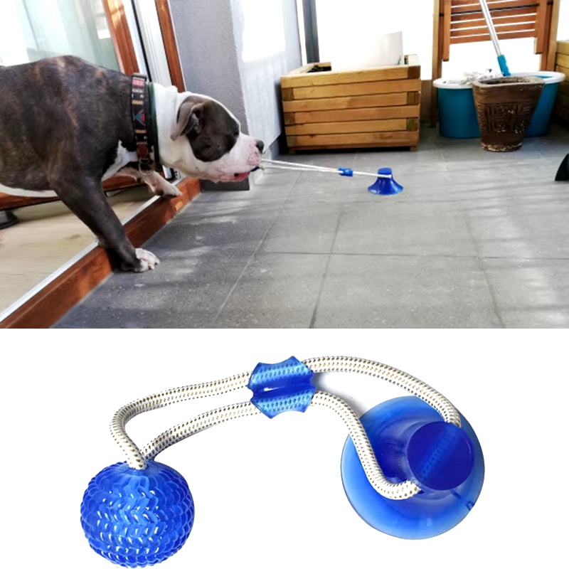 Interactive Suction Cup TPR Ball Dog Toys with Elastic Ropes for Dental Chewing and Cleaning