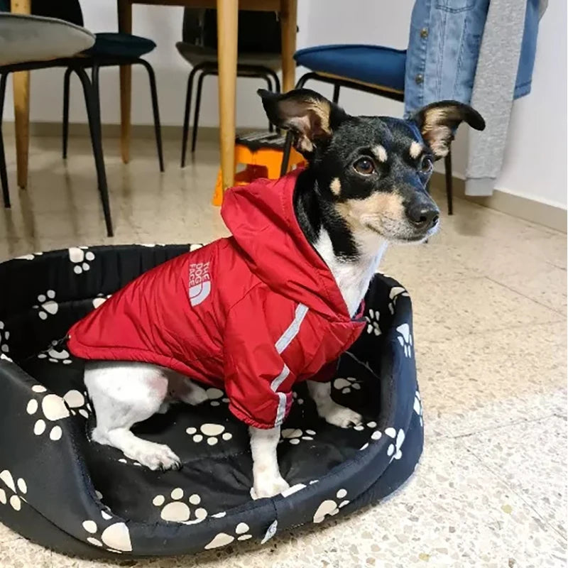 Reflective Waterproof Pet Coat for Small to Medium Dogs - Winter Fleece Jacket and Raincoat for Puppies and Chihuahuas