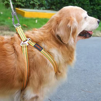 Double-Headed Dog Tie-Out Cable Leash with Metal Buckle, Rust-Resistant Steel Wire Training Collar for Outdoor Use