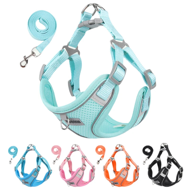 Reflective Dog Harness and Leash Set for Small to Medium Dogs and Cats - Chest Strap Vest for Outdoor Walking and Safety