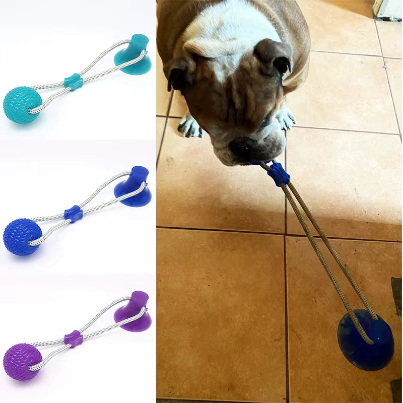 Interactive Suction Cup TPR Ball Dog Toys with Elastic Ropes for Dental Chewing and Cleaning