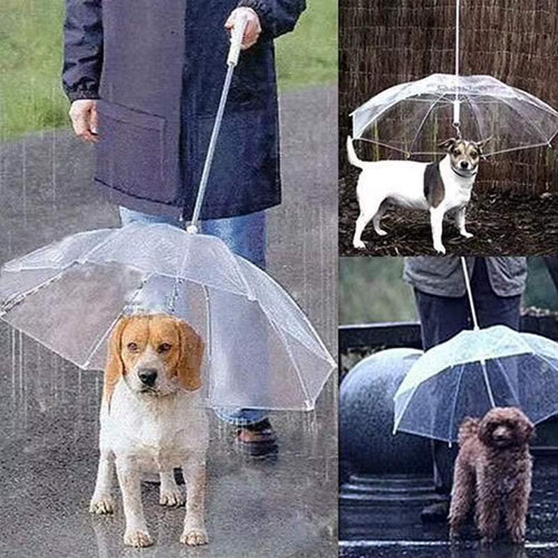 Dog Walking Waterproof Clear Cover with Built-In Leash for Rain, Sleet, and Snow - Pet Umbrella