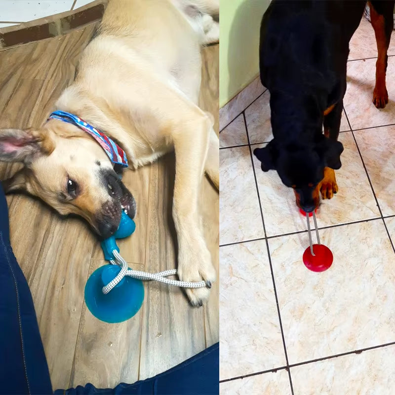 Interactive Suction Cup TPR Ball Dog Toys with Elastic Ropes for Dental Chewing and Cleaning