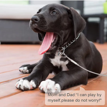 Double-Headed Dog Tie-Out Cable Leash with Metal Buckle, Rust-Resistant Steel Wire Training Collar for Outdoor Use