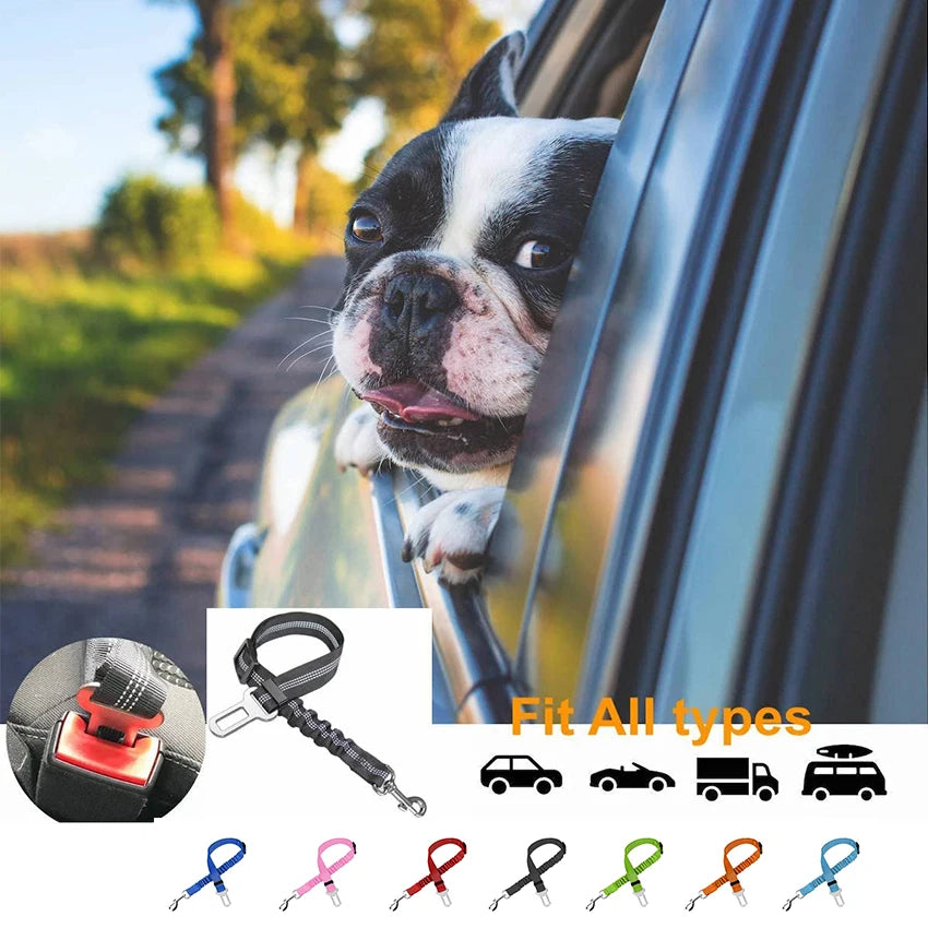 Adjustable Elastic Dog Car Seat Belt for Pet Safety During Travel