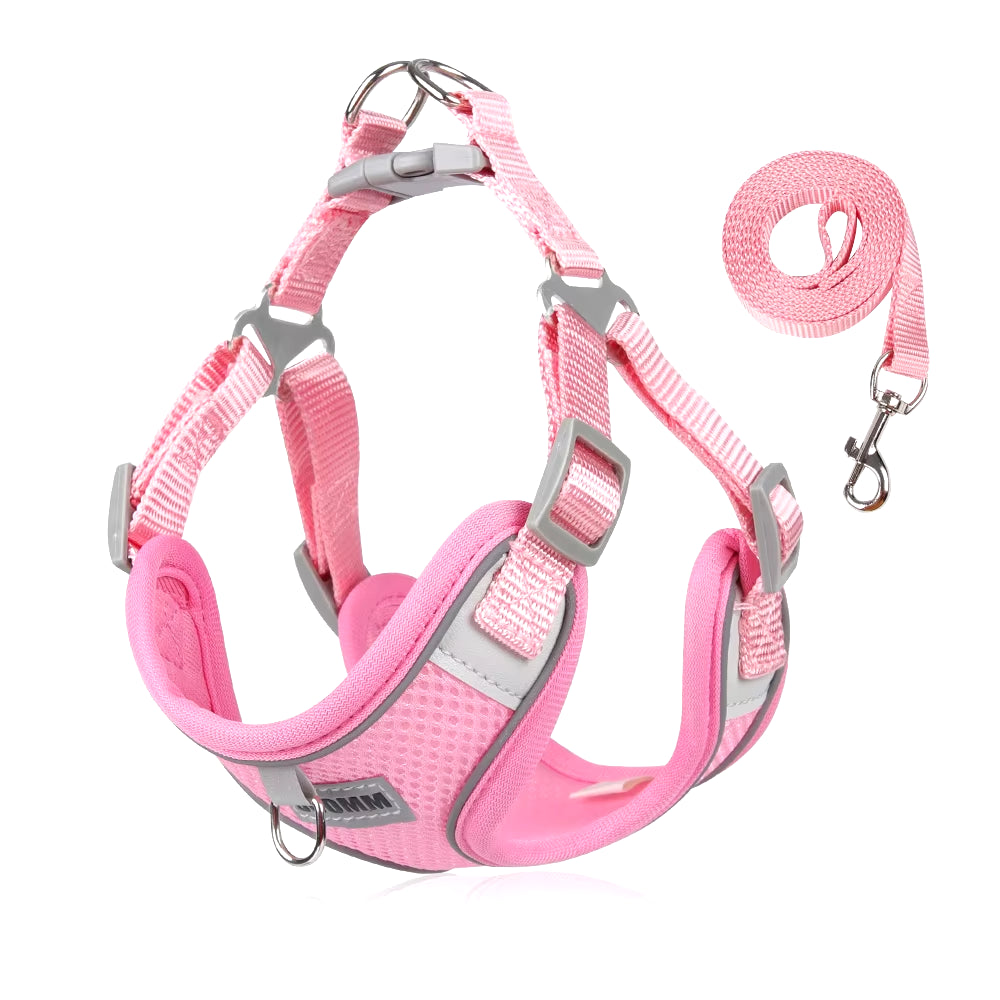Reflective Dog Harness and Leash Set for Small to Medium Dogs and Cats - Chest Strap Vest for Outdoor Walking and Safety