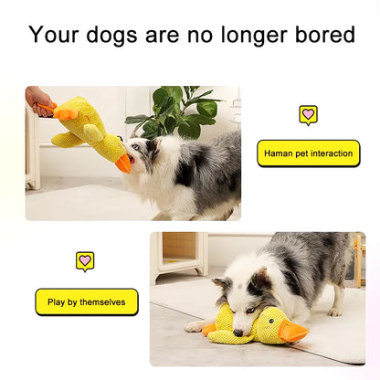 Duck-Shaped Interactive Dog Toy - Durable Quacking Pet Toy for Small to Large Dogs and Cats, Ideal for Chewing and Playtime