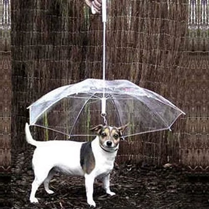 Dog Walking Waterproof Clear Cover with Built-In Leash for Rain, Sleet, and Snow - Pet Umbrella