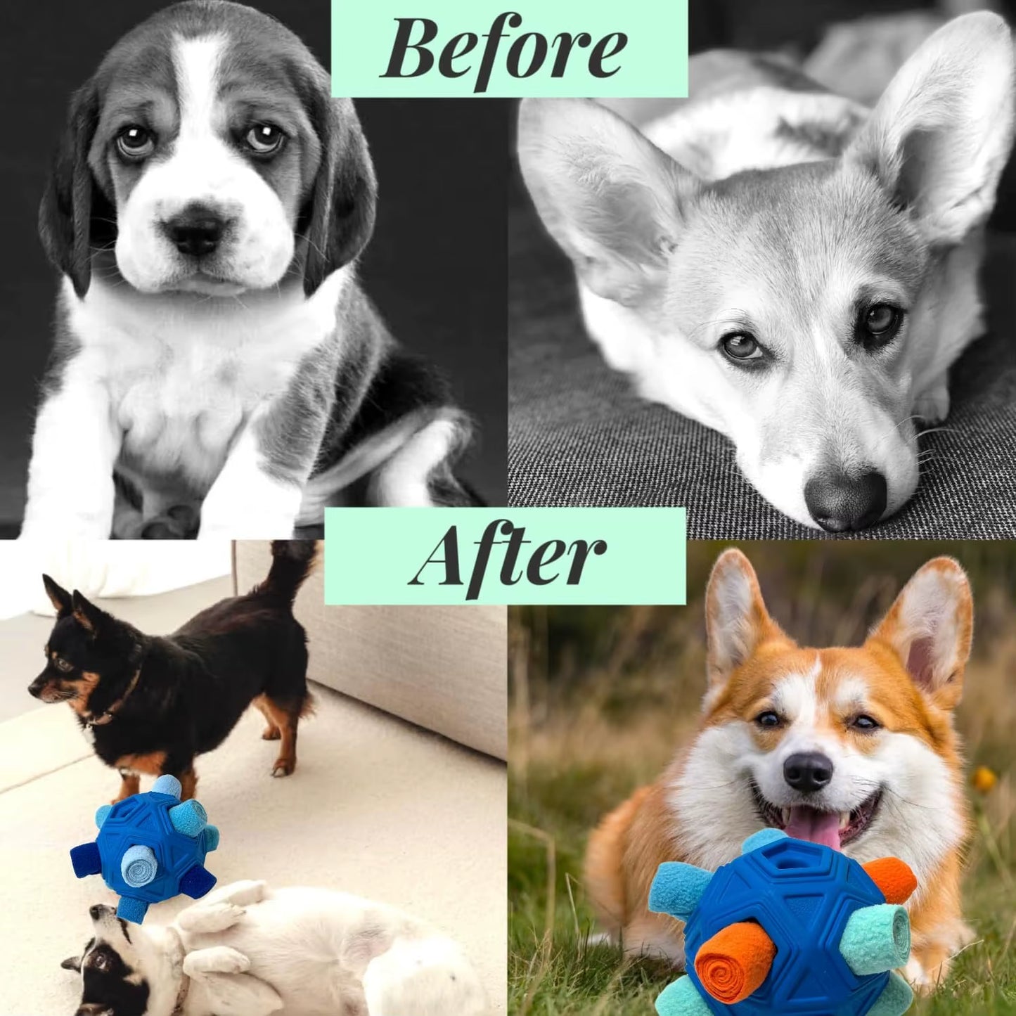 Premium Snuffle Ball for Dogs - Durable Interactive Foraging Toy and Treat Dispenser, Ideal Slow Feeder for Puppies