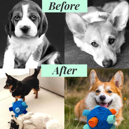 Premium Snuffle Ball for Dogs - Durable Interactive Foraging Toy and Treat Dispenser, Ideal Slow Feeder for Puppies