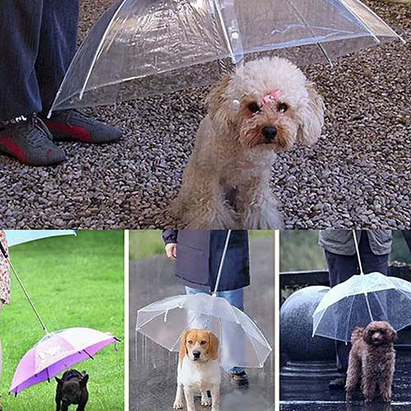 Dog Walking Waterproof Clear Cover with Built-In Leash for Rain, Sleet, and Snow - Pet Umbrella