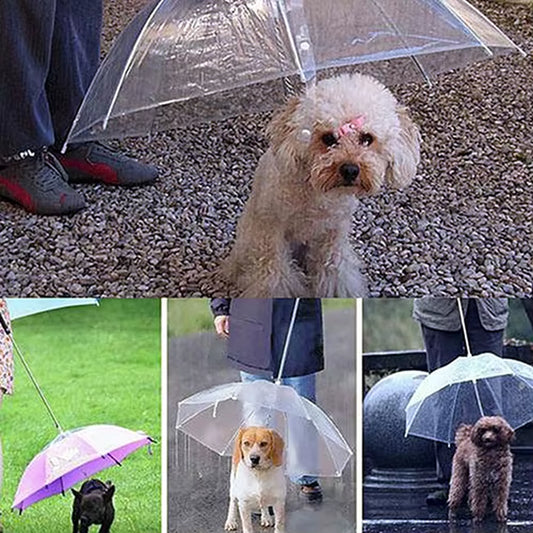 Dog Walking Waterproof Clear Cover with Built-In Leash for Rain, Sleet, and Snow - Pet Umbrella