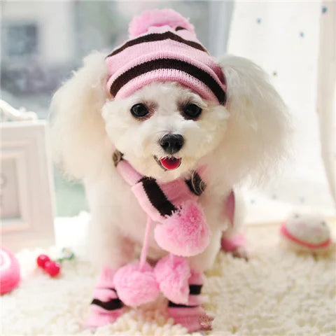 Winter Pet Accessories: Knitted Striped Hats, Scarves, and Socks for Dogs and Cats of All Sizes