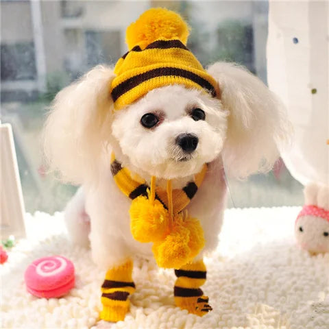 Winter Pet Accessories: Knitted Striped Hats, Scarves, and Socks for Dogs and Cats of All Sizes