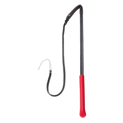 Portable Agility Wand for Dog Training and Obedience Exercises - Ideal Tool for Home Training and Agility Sets