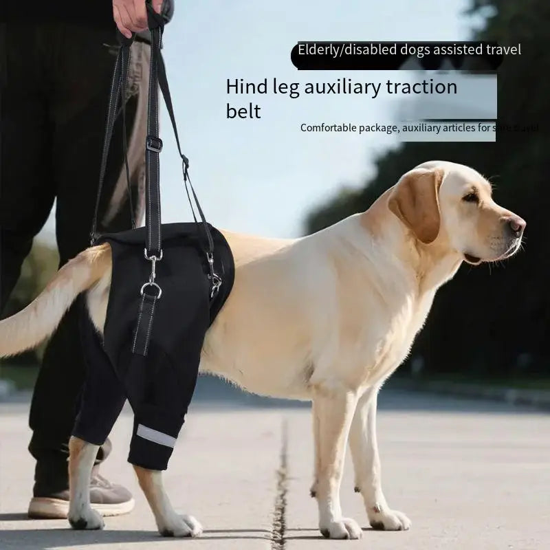 Adjustable Dog Support Harness for Elderly Dogs - Rehabilitation Mobility Aid with Comfortable Orthopedic Back Leg Lift Support Belt