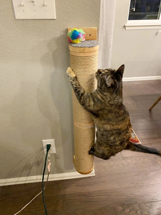 Wall-Mounted Cat Scratching Post with Wood Construction - Indoor Cat Scratcher Tower and Accessories