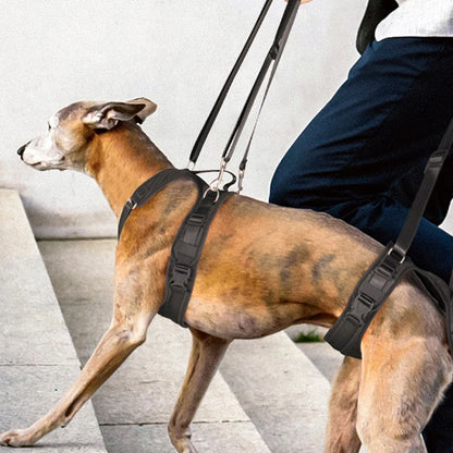 Auxiliary Belt for Canine and Feline Mobility Assistance Harness - Rehabilitation Training Tool for Disabled Pets