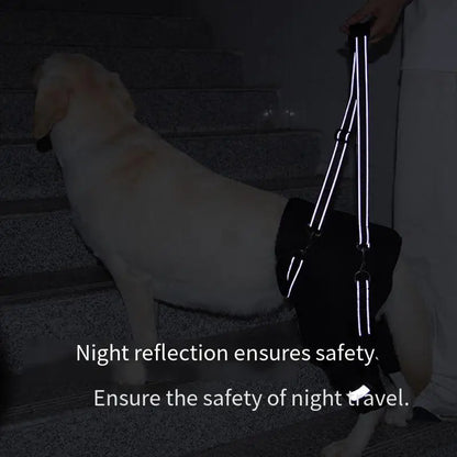 Adjustable Dog Support Harness for Elderly Dogs - Rehabilitation Mobility Aid with Comfortable Orthopedic Back Leg Lift Support Belt