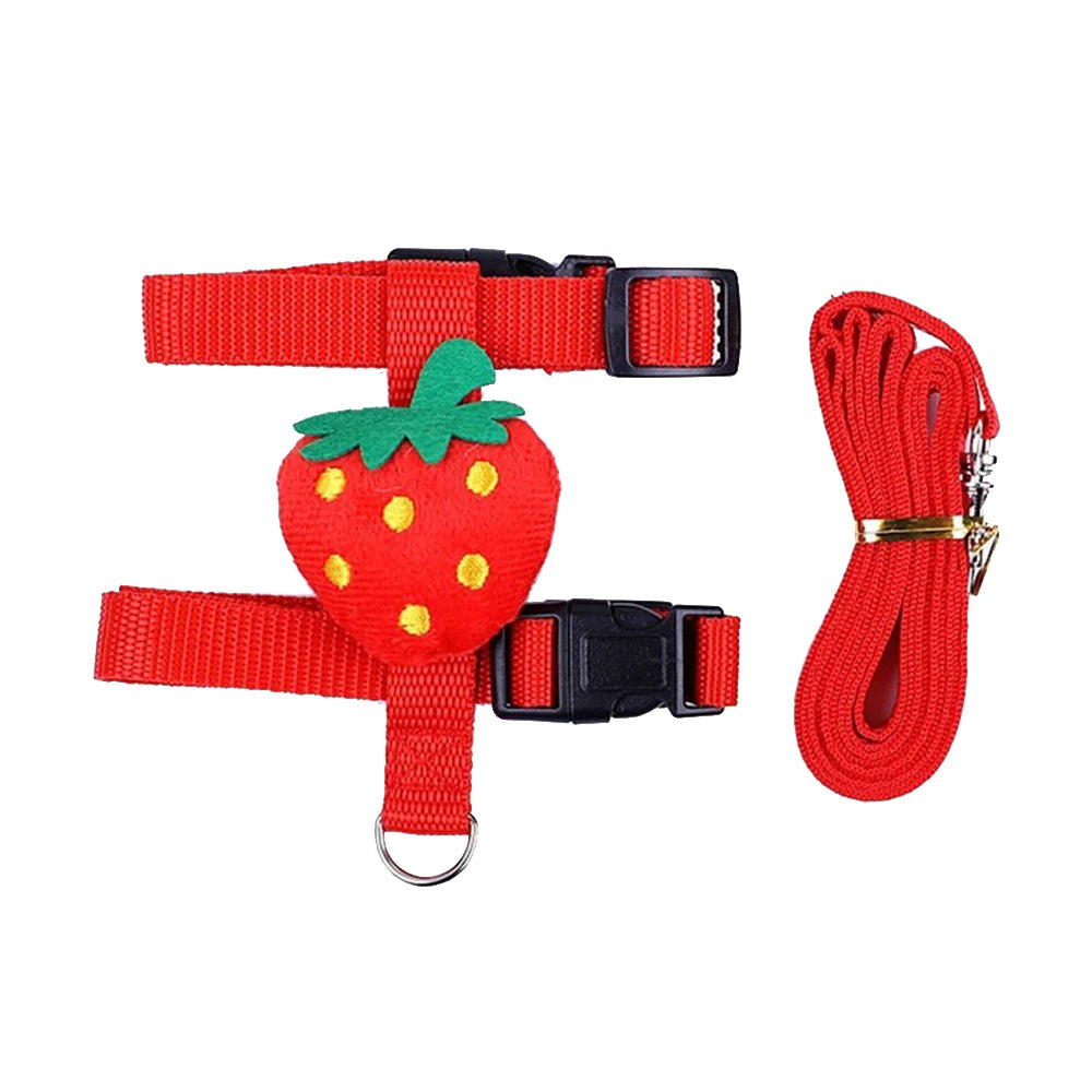 Adjustable Rabbit and Small Animal Harness and Leash Set for Outdoor Walking