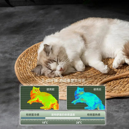 Rattan Cat Scratcher Mat - Nail Sharpening Board for Cats, Furniture Protector and Scratching Post