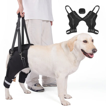 Adjustable Dog Support Harness for Elderly Dogs - Rehabilitation Mobility Aid with Comfortable Orthopedic Back Leg Lift Support Belt