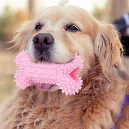Indestructible Chew Toys for Small Dogs - Teeth Cleaning and Training Supplies