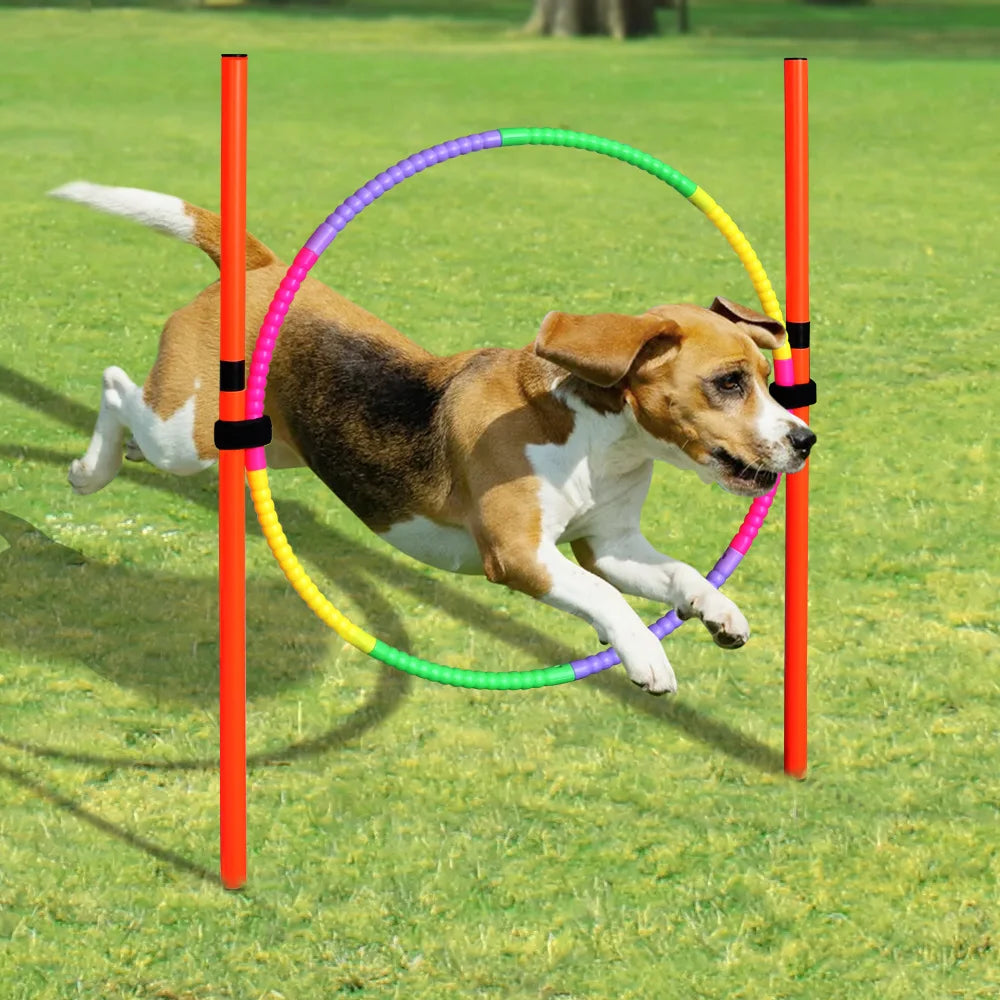 Professional Outdoor Dog Agility Training Set - Complete Obstacle Course Equipment and Accessories for Enhanced Pet Training