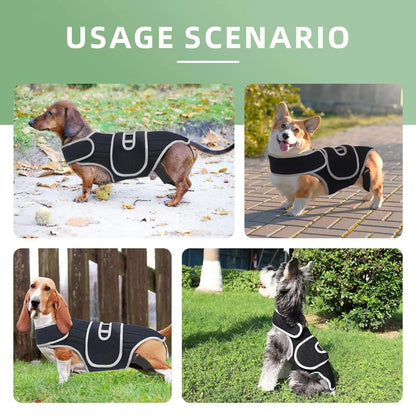Adjustable Dog Back Brace for Spinal Stability - Small Support Harness for Walking, Jogging, and Travel