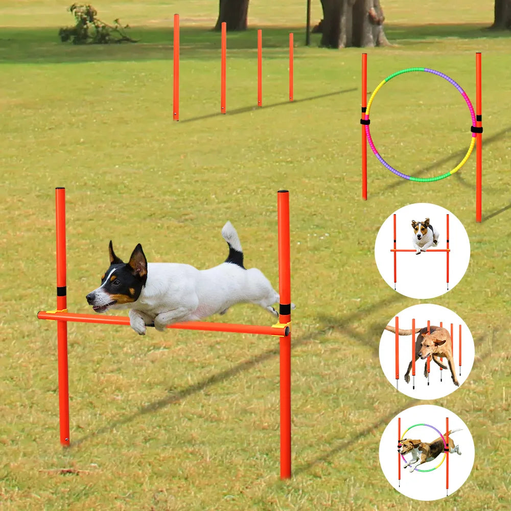 Professional Outdoor Dog Agility Training Set - Complete Obstacle Course Equipment and Accessories for Enhanced Pet Training