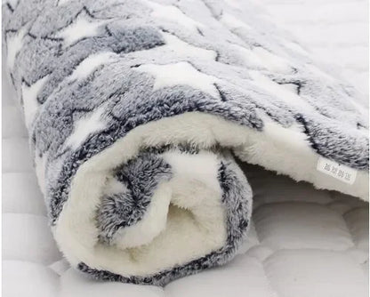 Cat Hammock Bed with Mat - Hanging Window Shelf Seat for Cats, Comfortable Pet Nest and Accessories