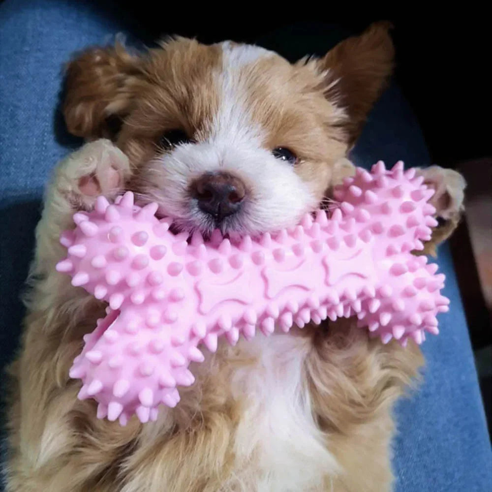 Indestructible Chew Toys for Small Dogs - Teeth Cleaning and Training Supplies