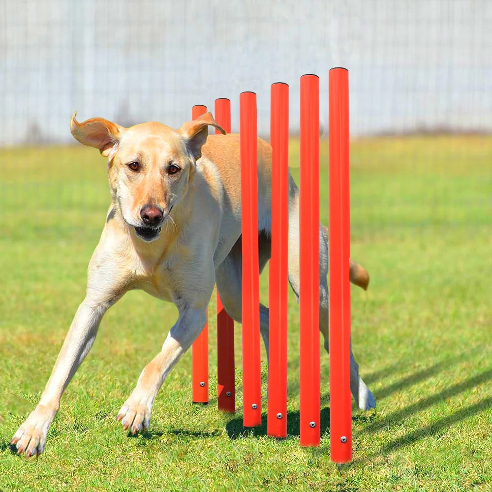 Professional Outdoor Dog Agility Training Set - Complete Obstacle Course Equipment and Accessories for Enhanced Pet Training