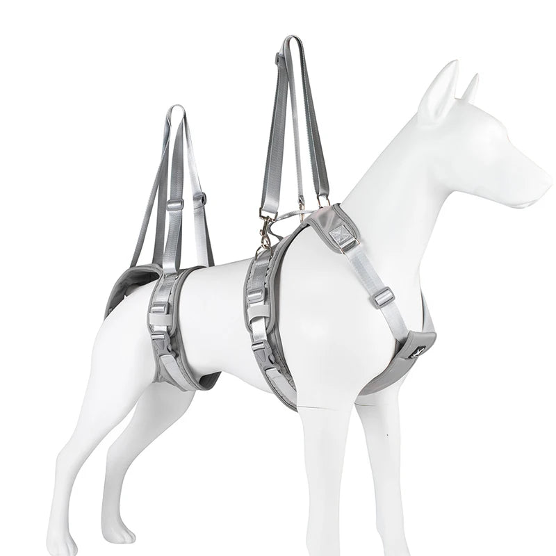 Auxiliary Belt for Canine and Feline Mobility Assistance Harness - Rehabilitation Training Tool for Disabled Pets
