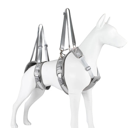 Auxiliary Belt for Canine and Feline Mobility Assistance Harness - Rehabilitation Training Tool for Disabled Pets