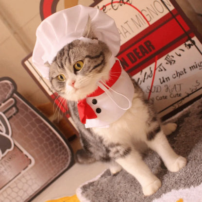 Stylish Adjustable Cat Cosplay Hat - Comfortable Pet Accessory for Events and Transformations