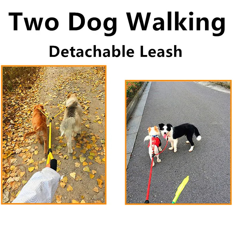 Dual Dog Leash System - Detachable Walking Chains for Two Dogs - Pet Accessories and Supplies