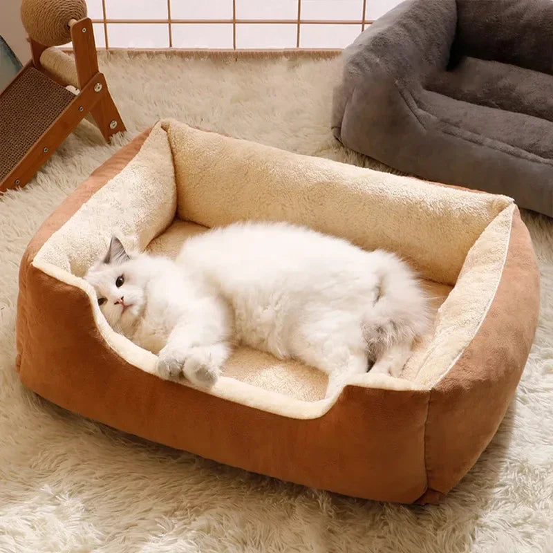 Pet Bed and Accessory Collection for Cats and Dogs