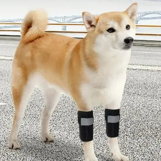 Dog Joint Injury Protection Leg Covers - Cushioning and Collision Prevention for Senior Dogs - Auxiliary Pet Protective Gear