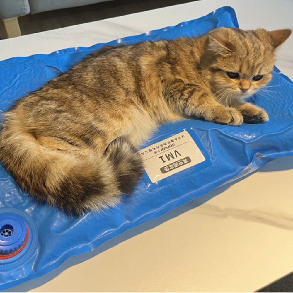 Veterinary Surgical Positioning Mat for Small Animals - Pet Examination and Care Accessory