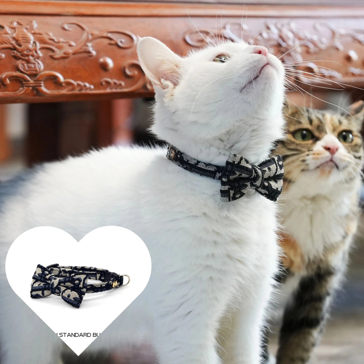 Pet Accessories: Detachable Collar Series for Cats and Dogs, Including Collars, Guides, and Leashes for Kittens and Pets