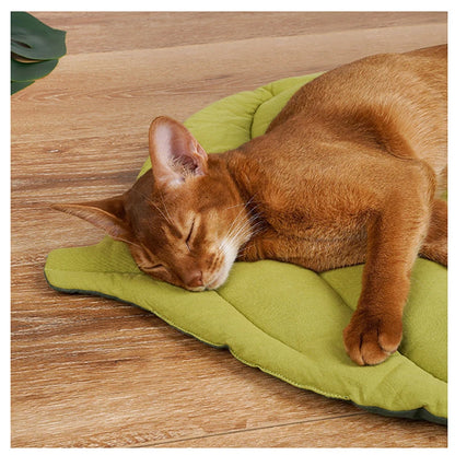 Soft Cotton Leaf-Shaped Cat and Dog Bed Mat - Double-Sided Washable Sleep Blanket for Pets