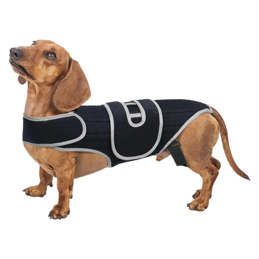 Adjustable Dog Back Brace for Spinal Stability - Small Support Harness for Walking, Jogging, and Travel