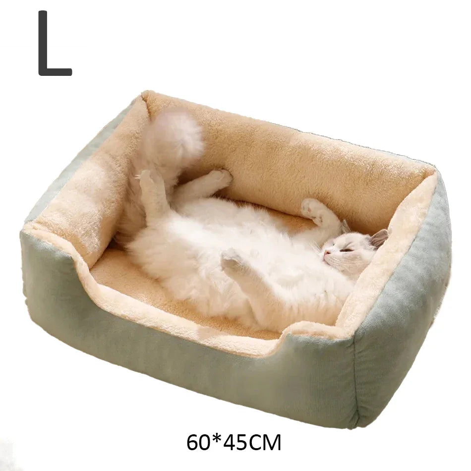 Pet Bed and Accessory Collection for Cats and Dogs