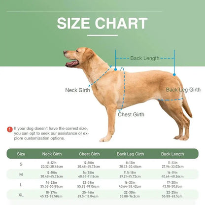 Adjustable Dog Back Brace for Spinal Stability - Small Support Harness for Walking, Jogging, and Travel